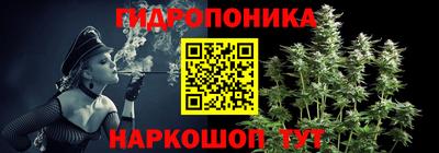 ешки Волжск
