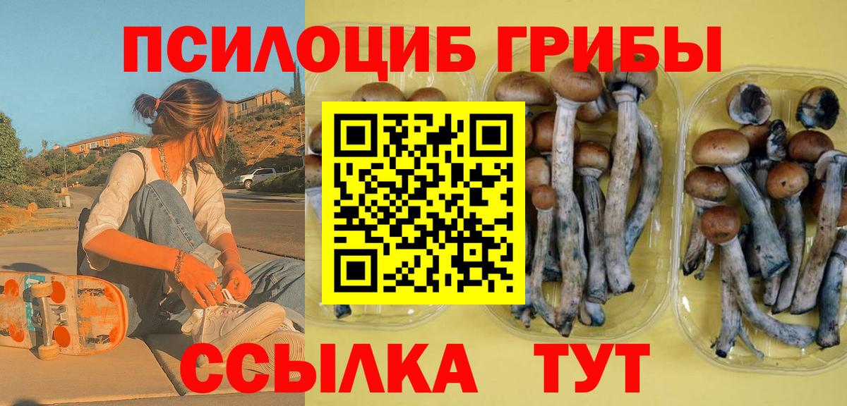 Псилоцибиновые грибы мицелий  Галлюциногенные грибы Psilocybine cubensis  Татарск  Вход с VPN 